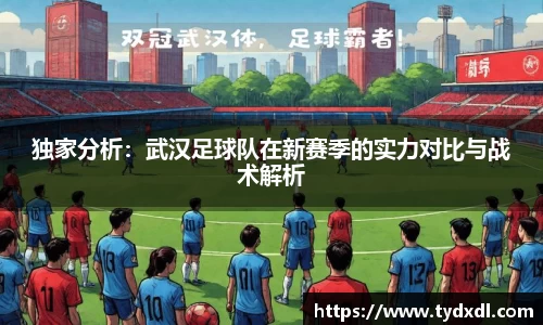 独家分析：武汉足球队在新赛季的实力对比与战术解析