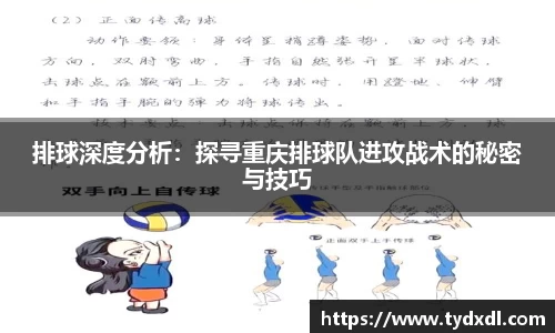排球深度分析：探寻重庆排球队进攻战术的秘密与技巧