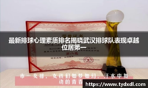 最新排球心理素质排名揭晓武汉排球队表现卓越位居第一