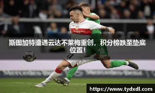 球速体育