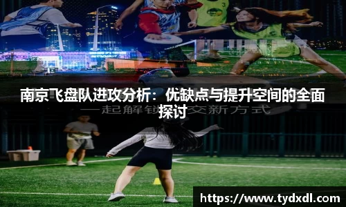 南京飞盘队进攻分析：优缺点与提升空间的全面探讨
