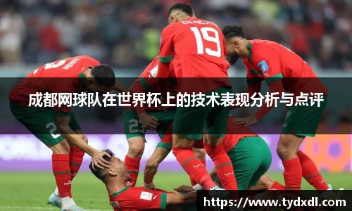 球速体育