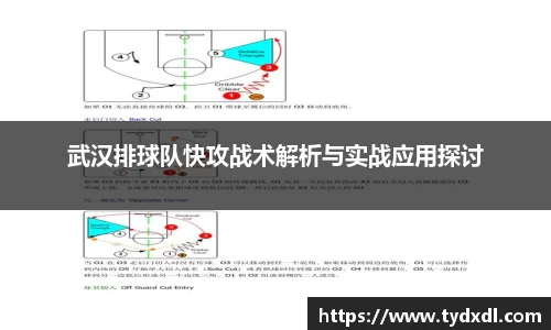 武汉排球队快攻战术解析与实战应用探讨