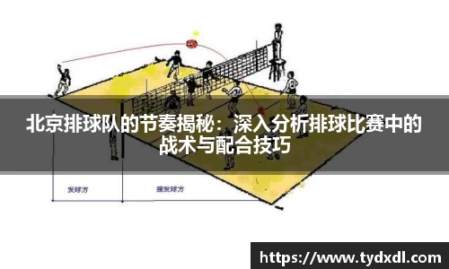 北京排球队的节奏揭秘：深入分析排球比赛中的战术与配合技巧