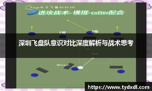 深圳飞盘队意识对比深度解析与战术思考