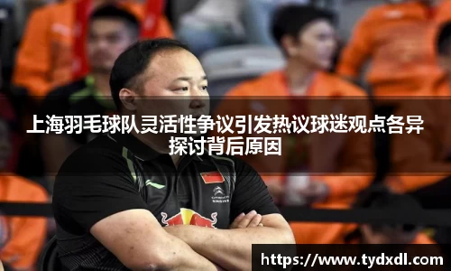 上海羽毛球队灵活性争议引发热议球迷观点各异探讨背后原因