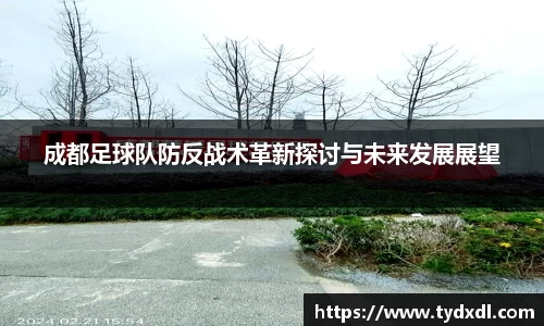成都足球队防反战术革新探讨与未来发展展望
