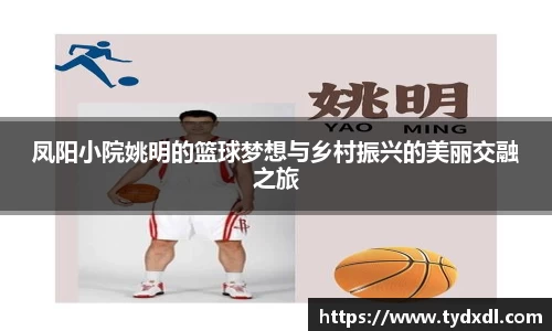 球速体育