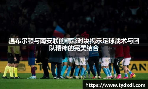 温布尔顿与南安联的精彩对决揭示足球战术与团队精神的完美结合