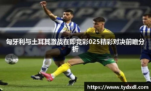 球速体育平台登录入口